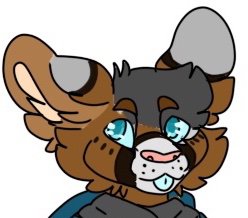 Sora | Wiki | Furry Amino