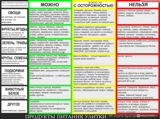 Что можно давать хомякам таблица Ещё больше Турбо!!! 
