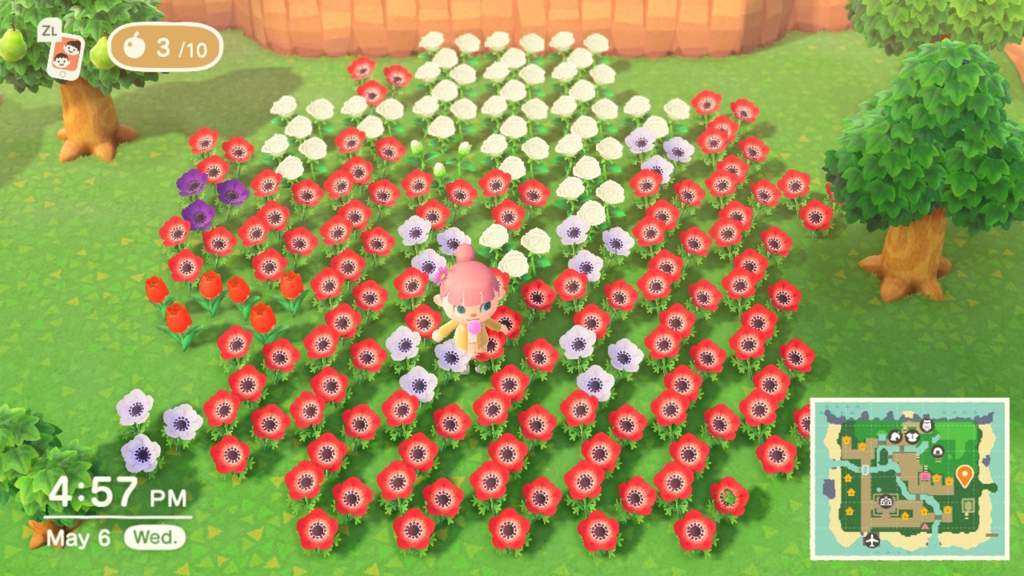 Anyone Want All These Flowers? | Animal Crossing Amino