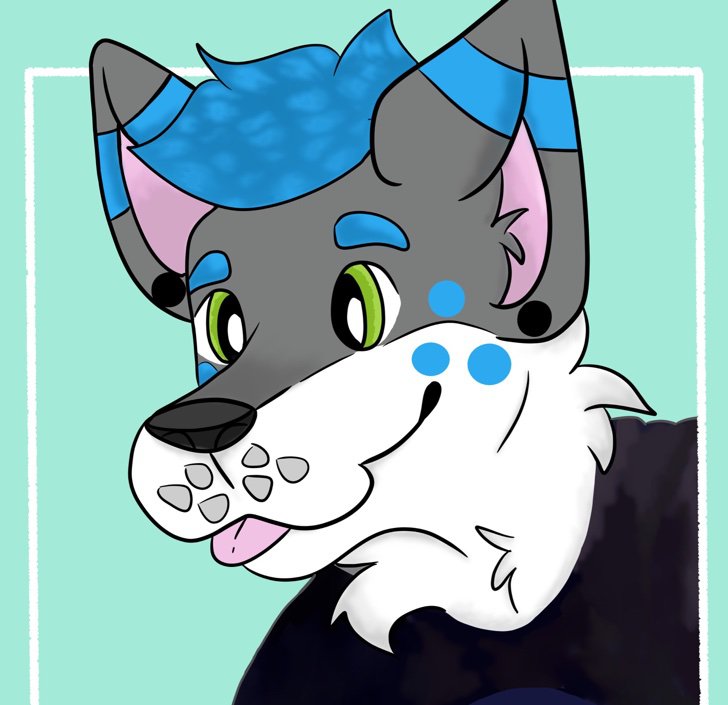 Toyhouse | Wiki | Furry Amino