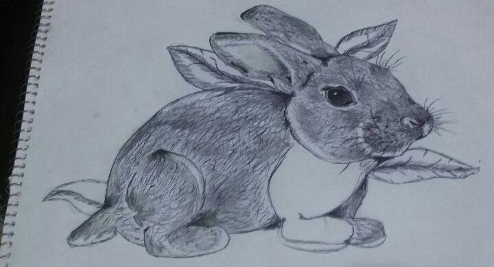 Conejo deforme :3 | •Arte Amino• Amino