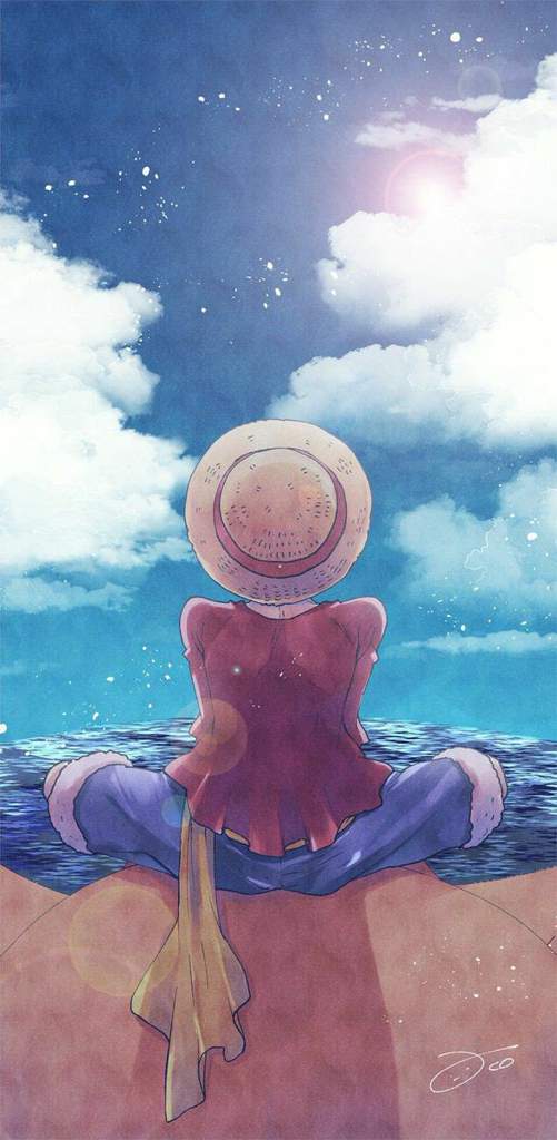 One Piece | Wiki | Anime Amino