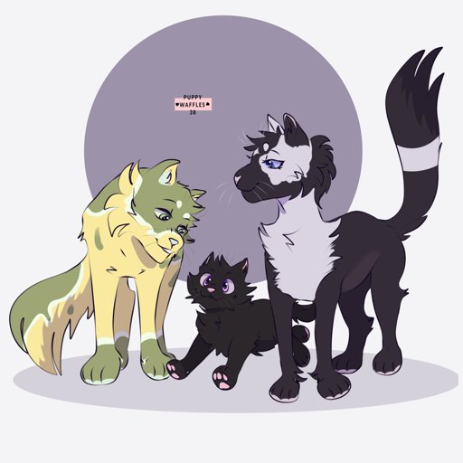 100 Names For KittyPets/Rogues/Loners! | Wiki | Warrior Cats🐾🐾 Amino