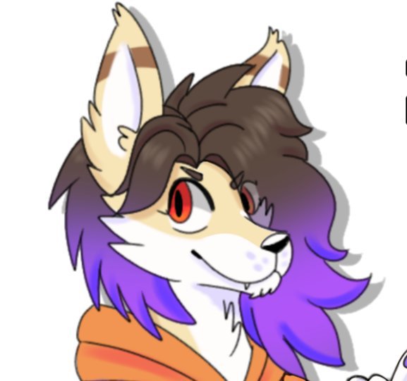 Zowi | Wiki | ⭐Furry Diversity⭐ Amino