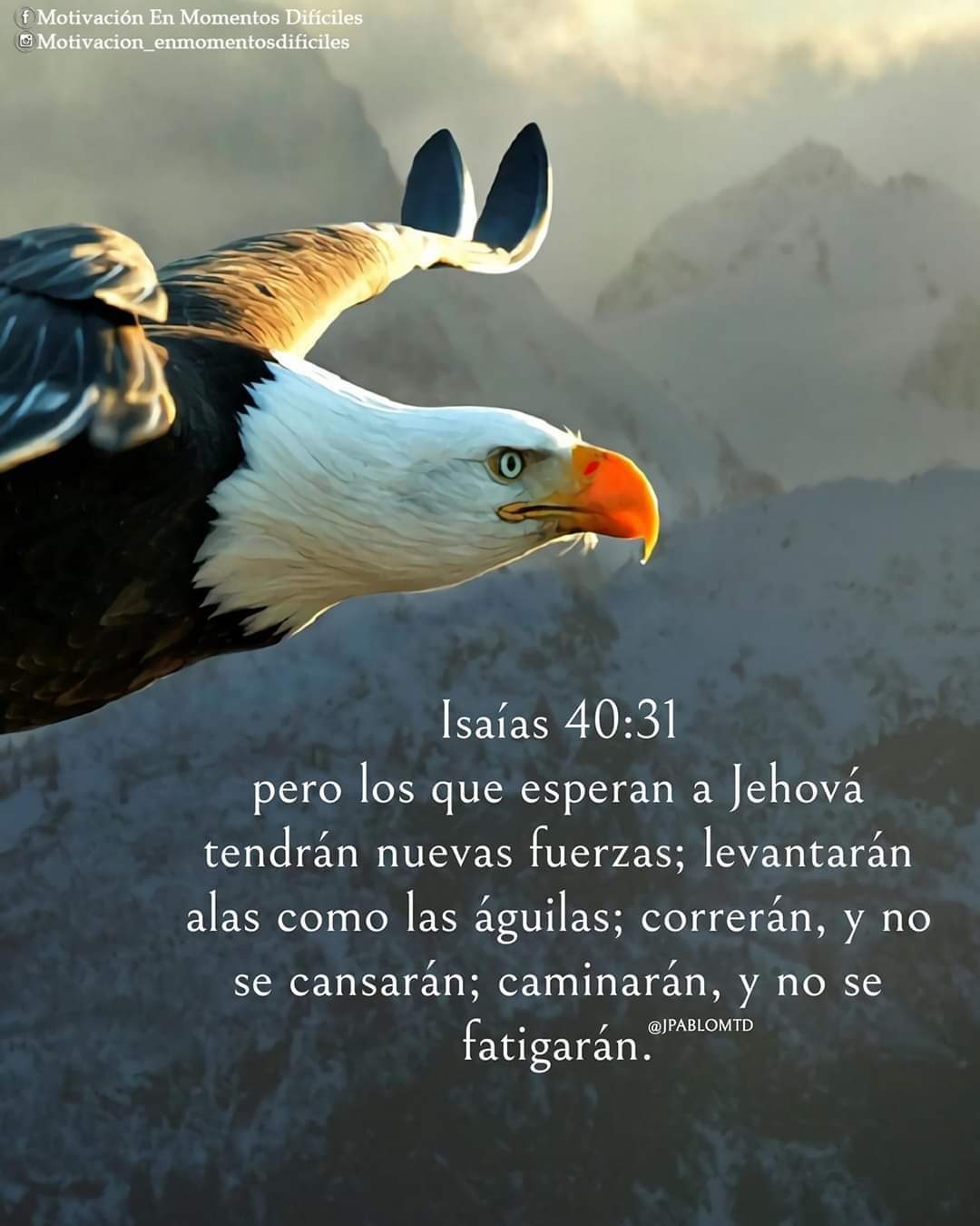 AGUILAS!!! | ∝Somos Cristianos∝ Amino