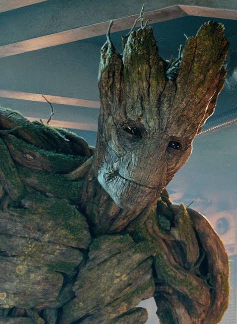 Groot (Earth 199999) | Wiki | Marvel Amino