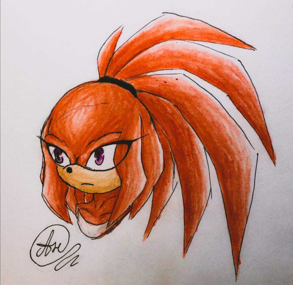 Knuckles the Echidna (female) | Sonic the Hedgehog! Amino