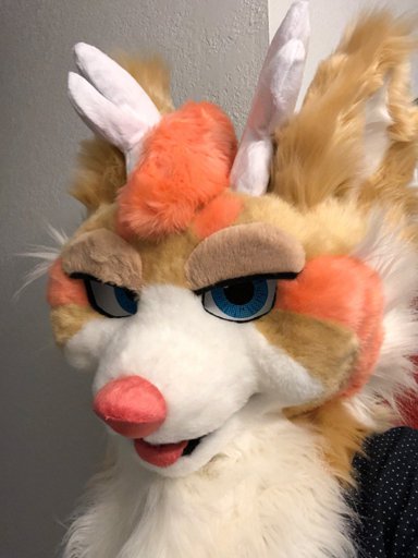 Peaches | Wiki | Furry Amino