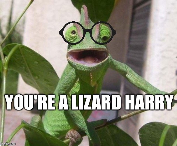 You're a lizard, Harry | Harry Potter Amino