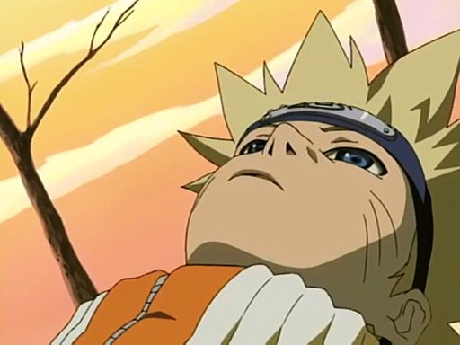 Naruto clássico temporada 1, Wiki