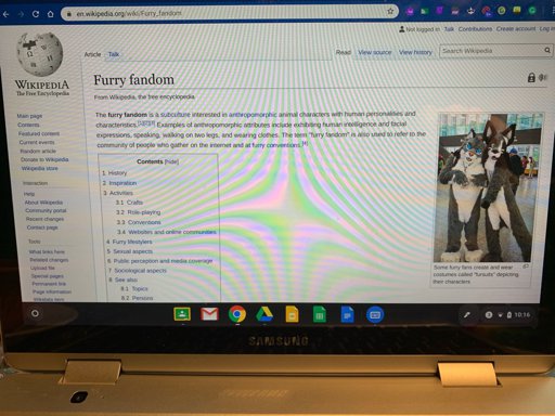 Latest Furry Amino - urgent why is my game like this roblox wikia fandom