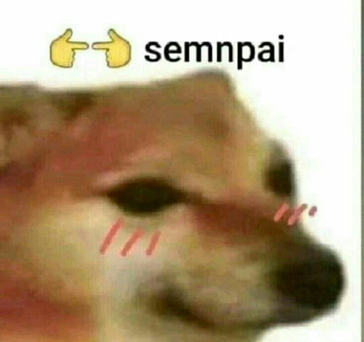 COSAS TURBIAS Y FRASES V3RG4S Memes Y Momazos Amino