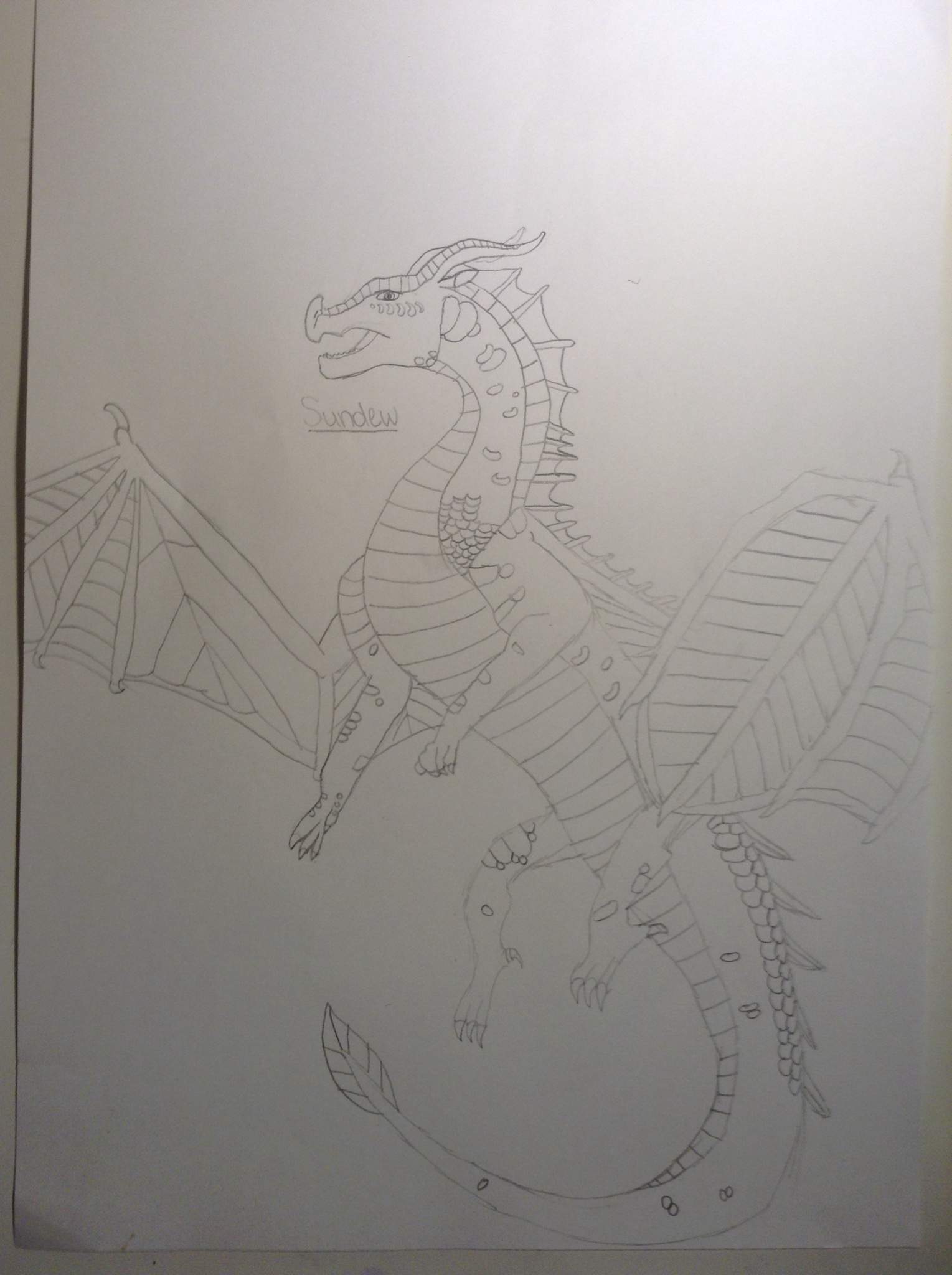 My pencil drawing of Sundew | Wings Of Fire Amino