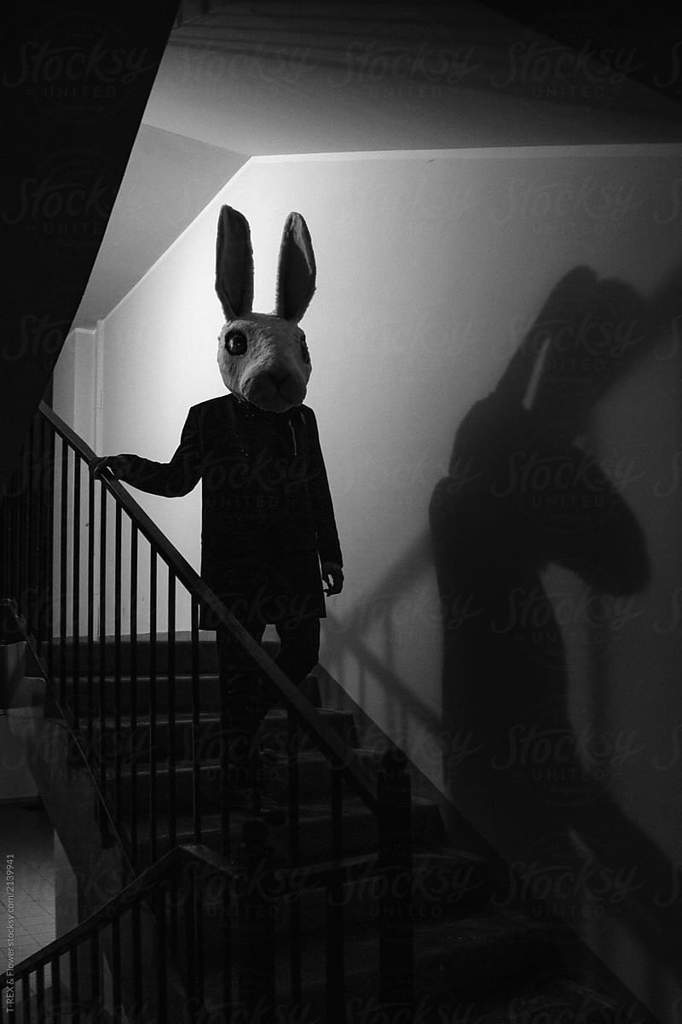 Cultist Rabbit | Wiki | SCP Foundation Amino