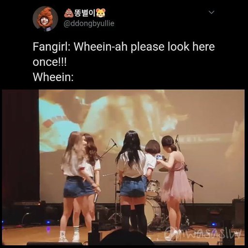 Mamamoo Memes On Instagram Omg Iloveu Like The Flower Petals Will Bloom Again Get Better Day By Day Wind Flower Follow Hwasasluv For More C Mamamoo Amino