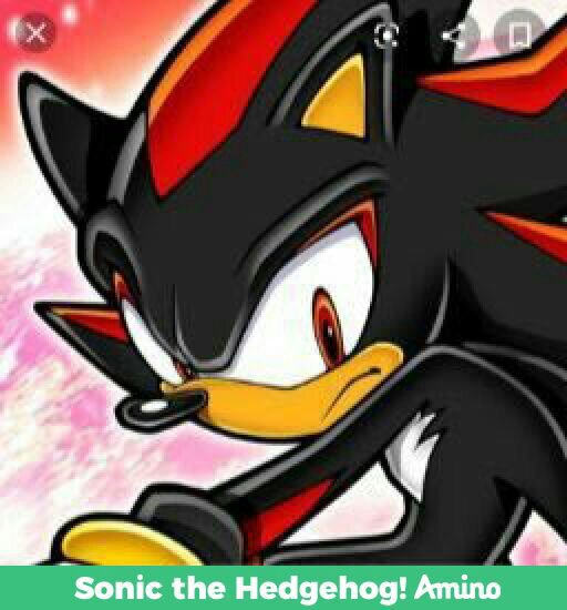 sonic the hedgehog regal