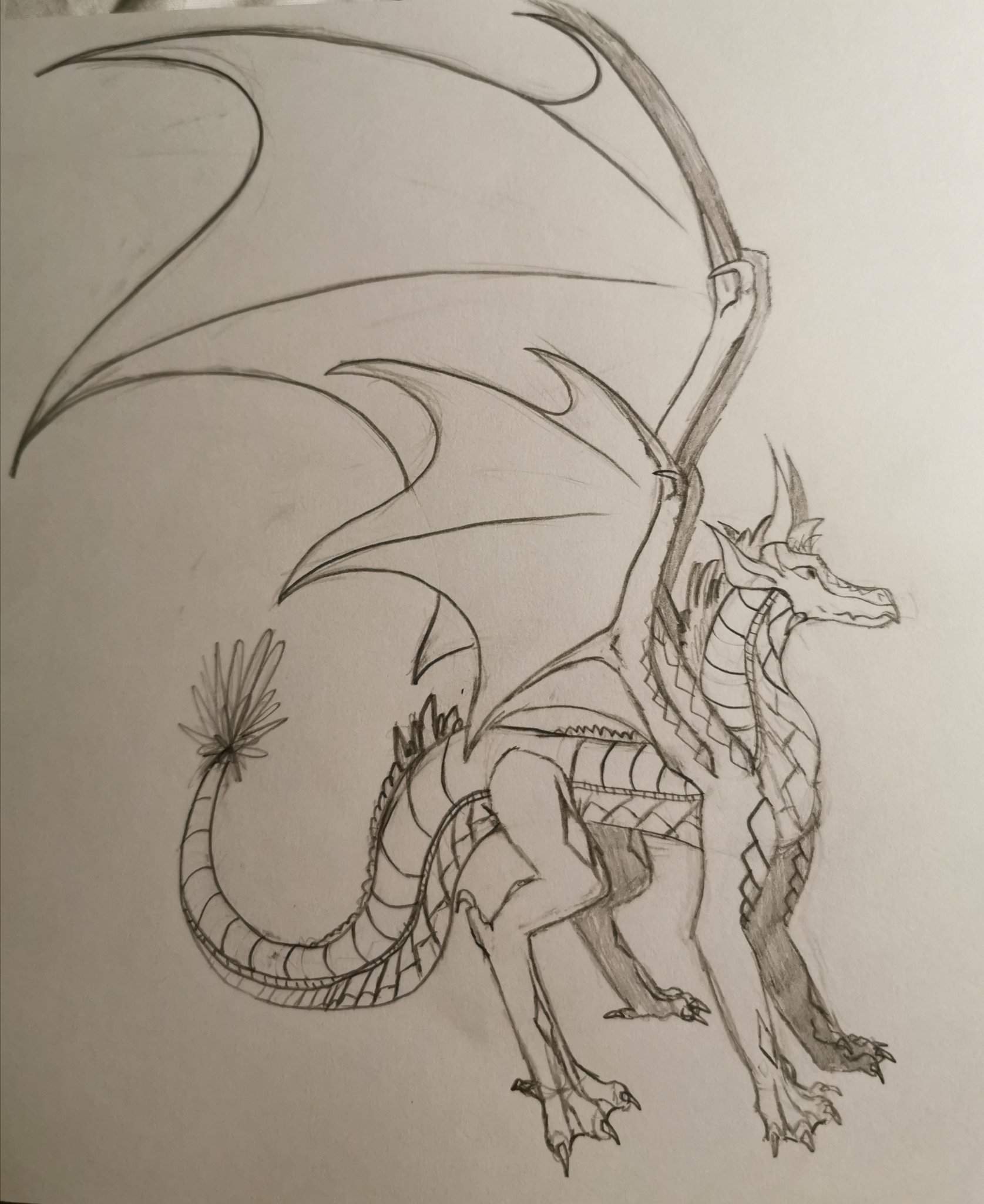 Fantribe concept - | Wings Of Fire Amino