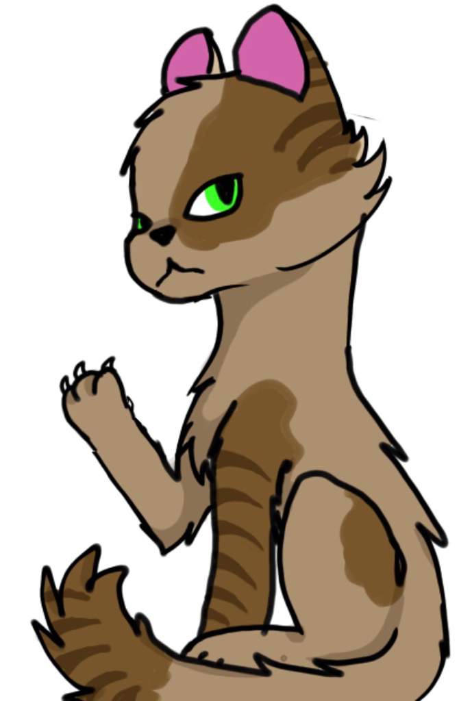 Warrior cat Oc (W.i.P) Bright Guardian Akira Amino