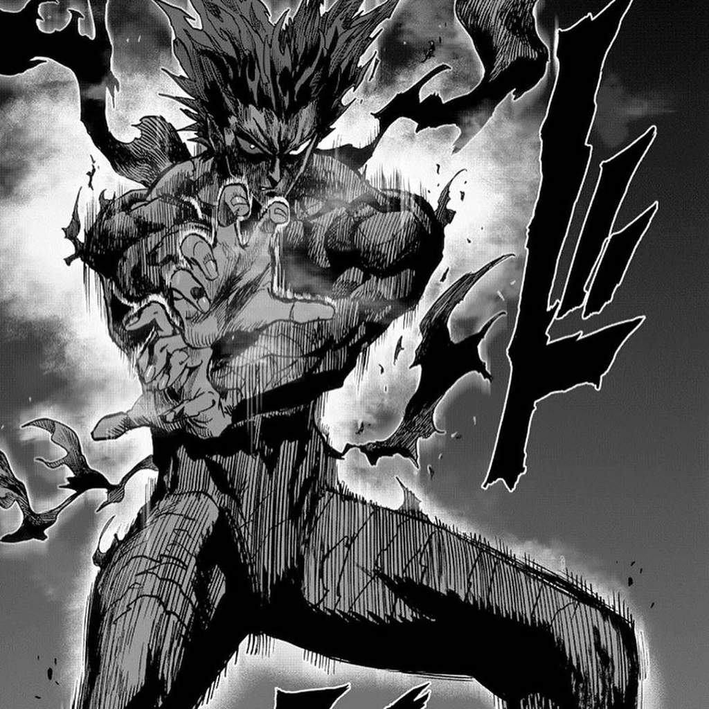 Garou (OPM) | Wiki | •Anime• Amino