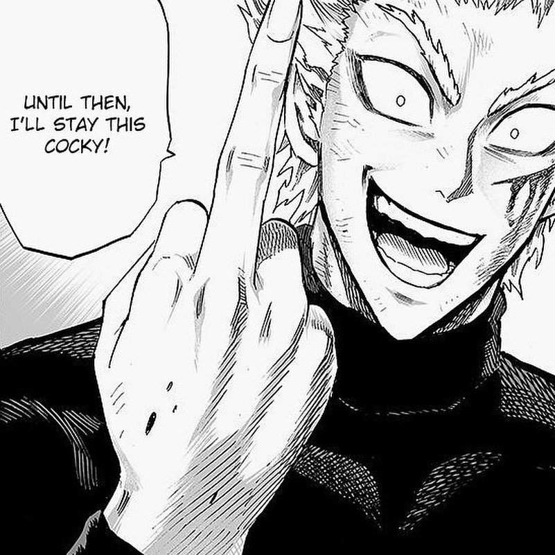 Garou (OPM) | Wiki | •Anime• Amino