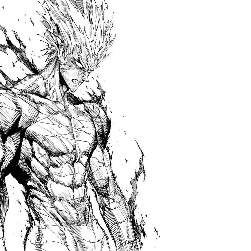 Garou (OPM) | Wiki | •Anime• Amino