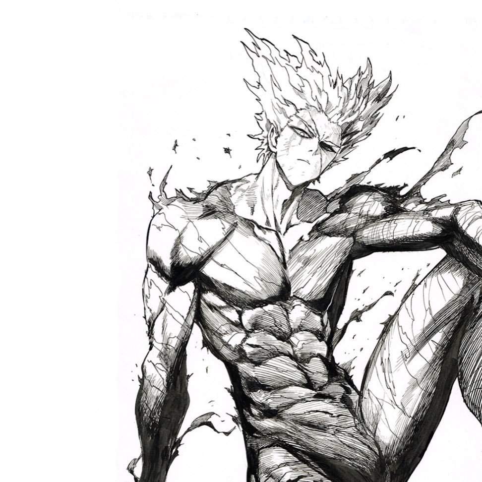 Garou (OPM) | Wiki | •Anime• Amino