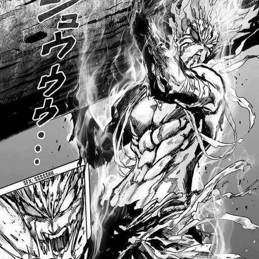 Garou (OPM) | Wiki | •Anime• Amino