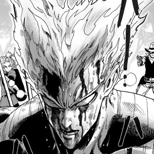 Garou (OPM) | Wiki | •Anime• Amino