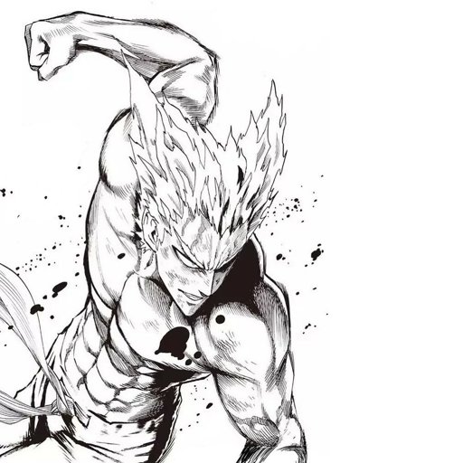 Garou (OPM) | Wiki | •Anime• Amino