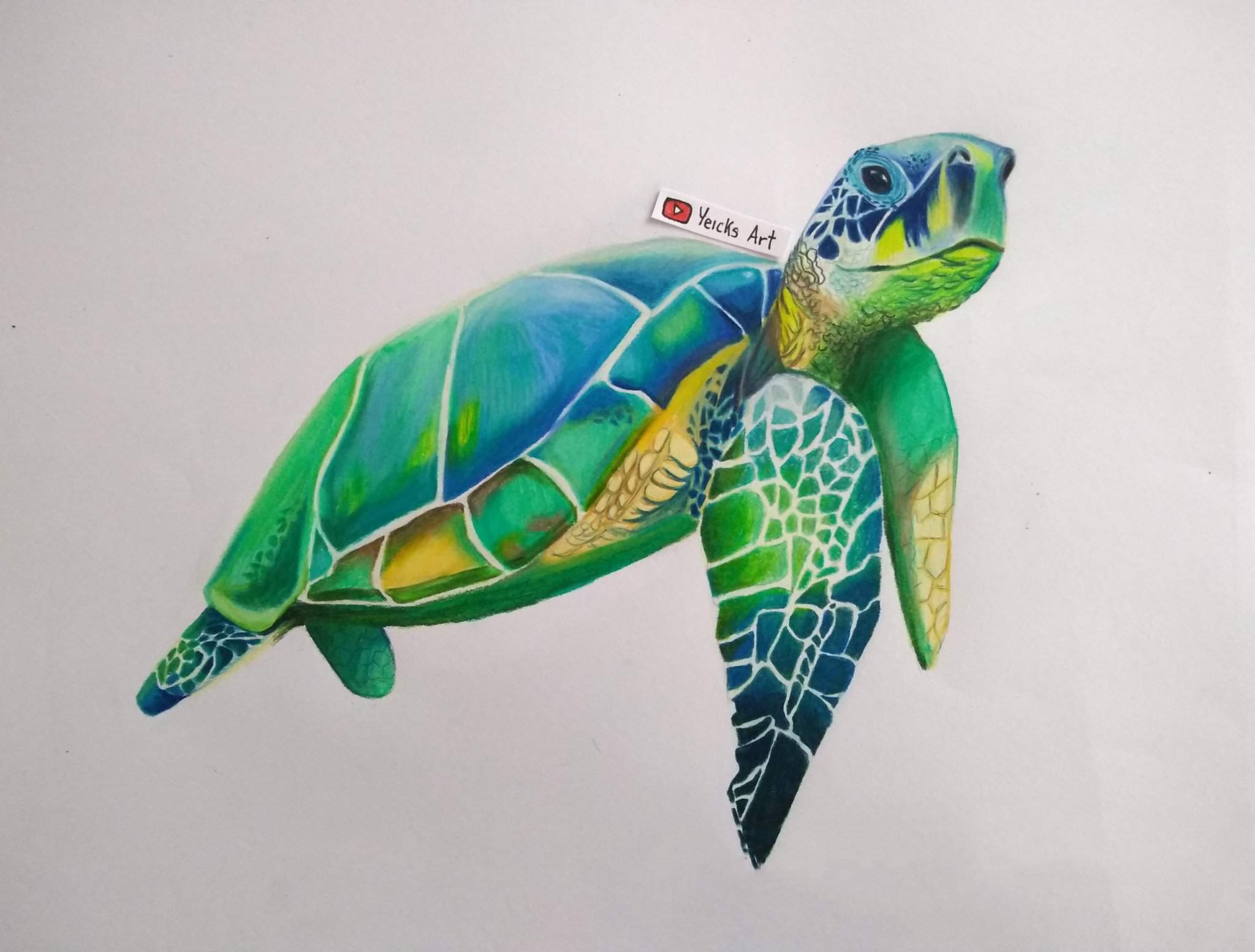 Totuga hecha con lapices de color 🐢💖 | •Arte Amino• Amino