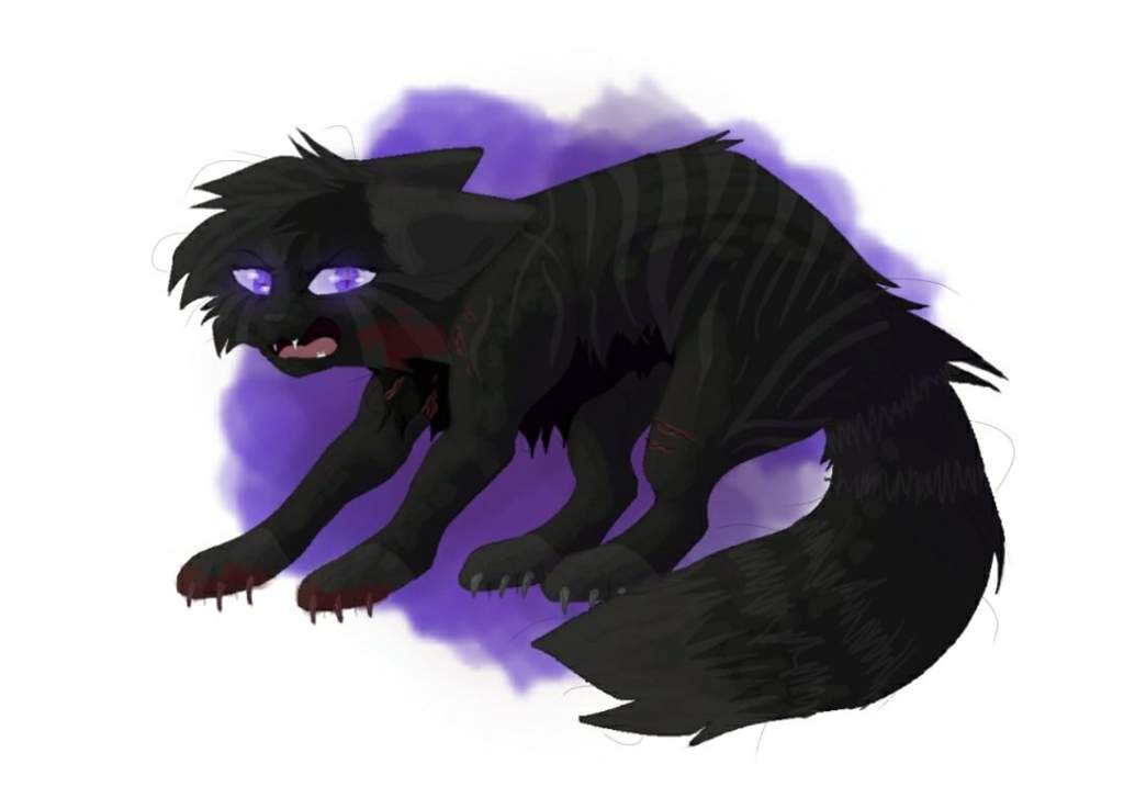 Midnight | Wiki | German Warrior Cats Amino