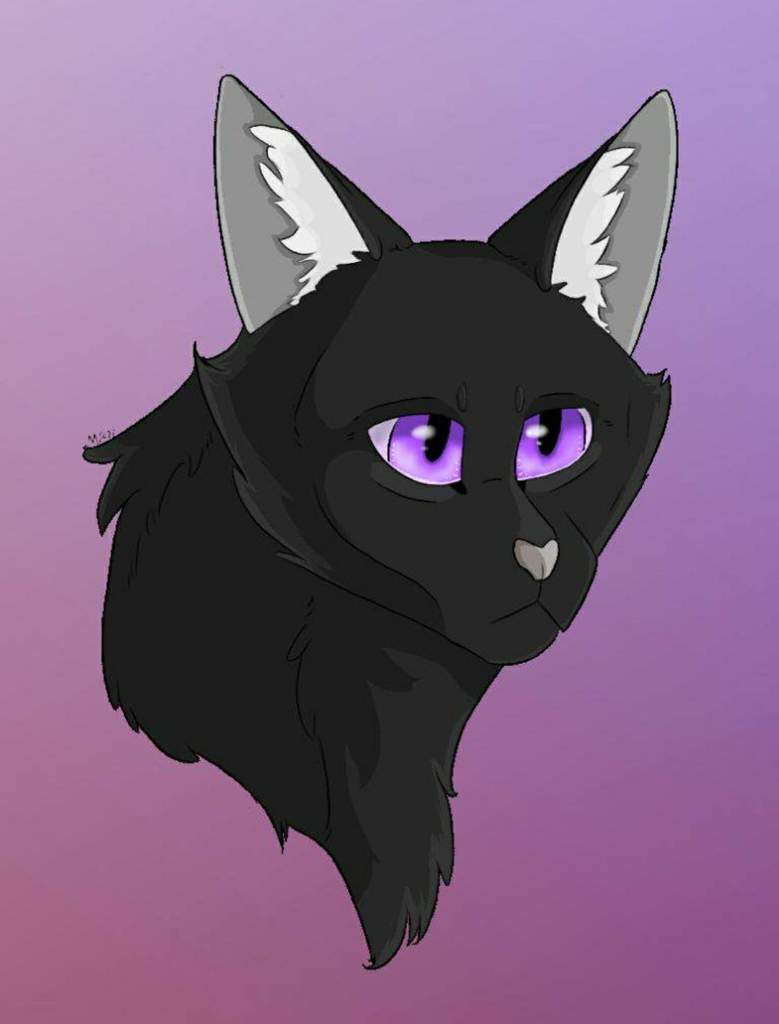 Midnight | Wiki | German Warrior Cats Amino