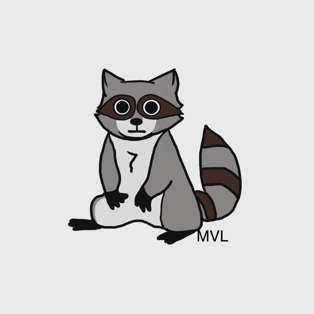 Raccoon | Doodles And Drawings Amino