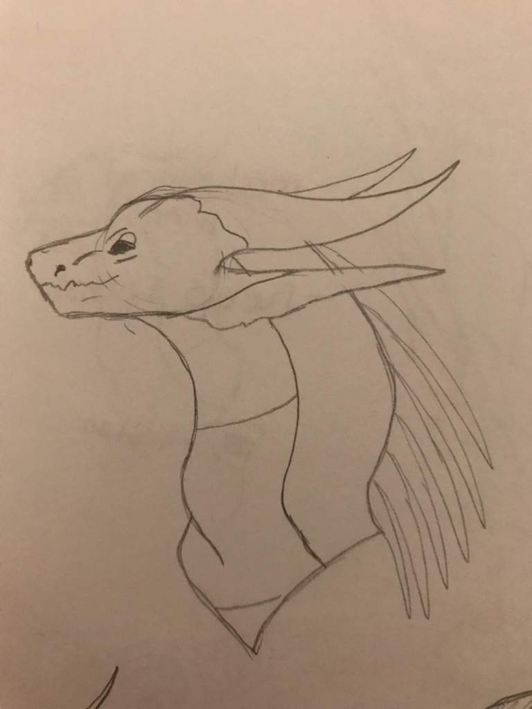 50 Ac Sketch Headshots Wings Of Fire Amino