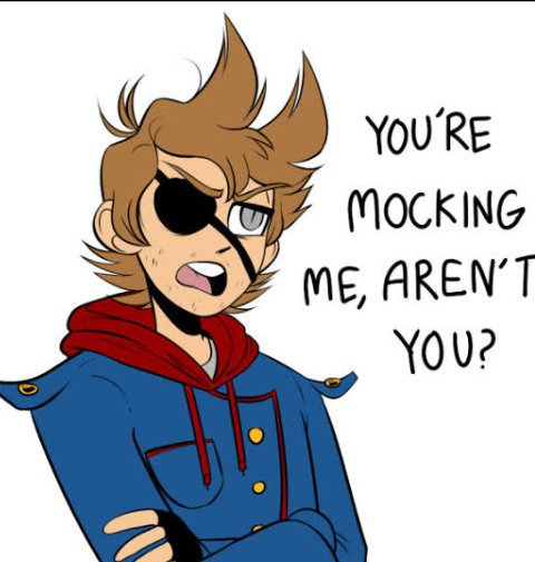 Red Leader!Tord x Soldier!Reader | [Eddsworld PT/BR™] Amino