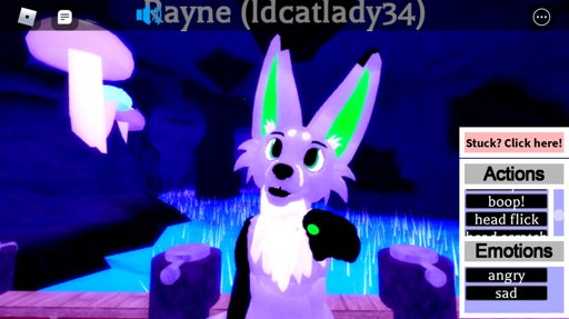 Selfies Furry Amino - how to get hair in roblox furana