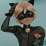 amino-°•°ChatNoir°•°-2885c848