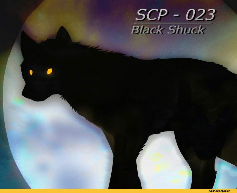 Scp 023 описание