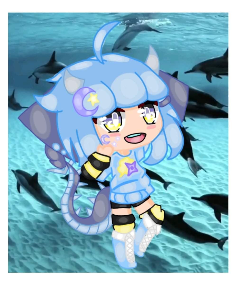 Dolphins! | ★°• Gacha Kingdom •°★ Amino