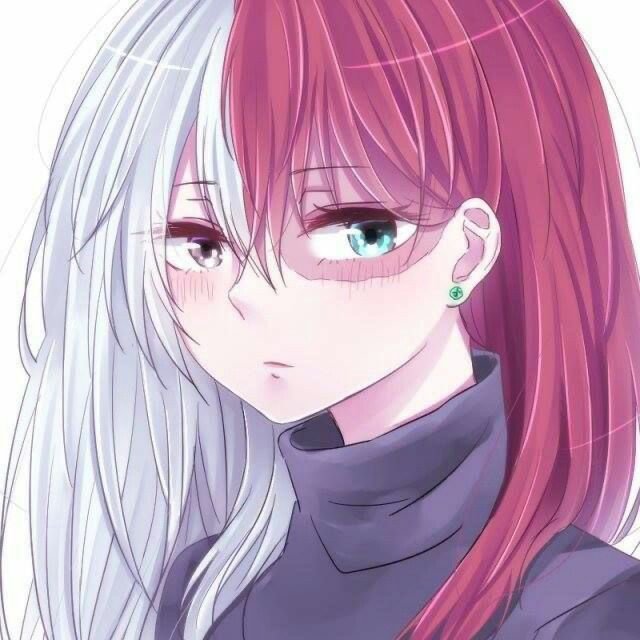 Female todoroki | MHA Amino! Amino