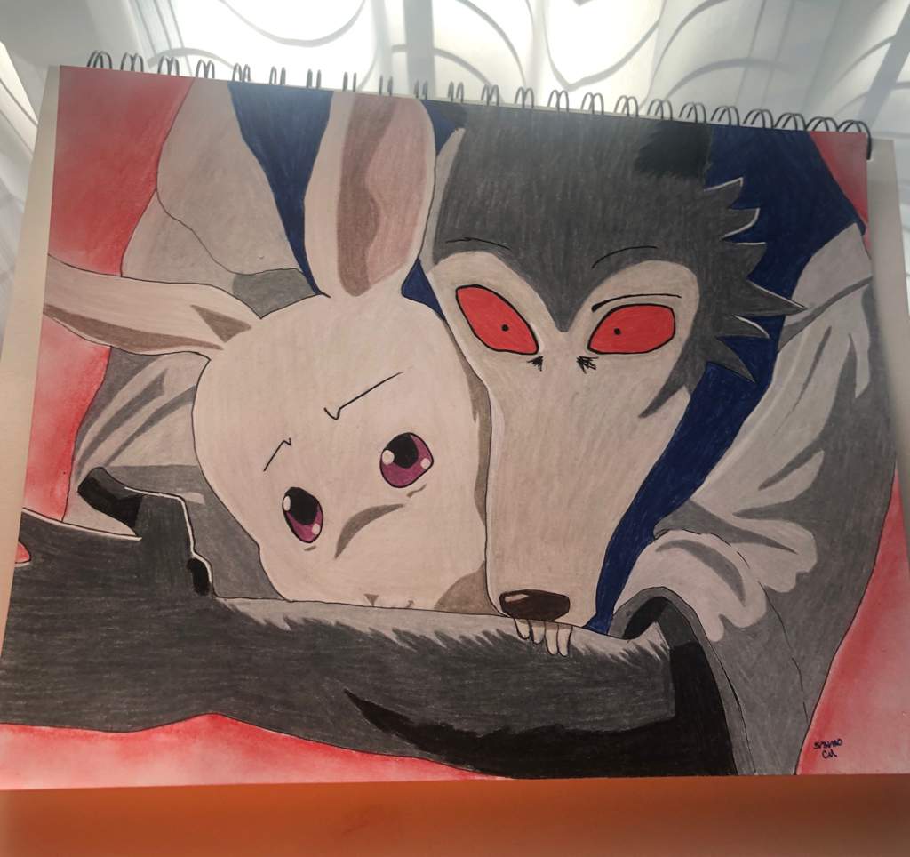 Legoshi and Haru | Art Amino