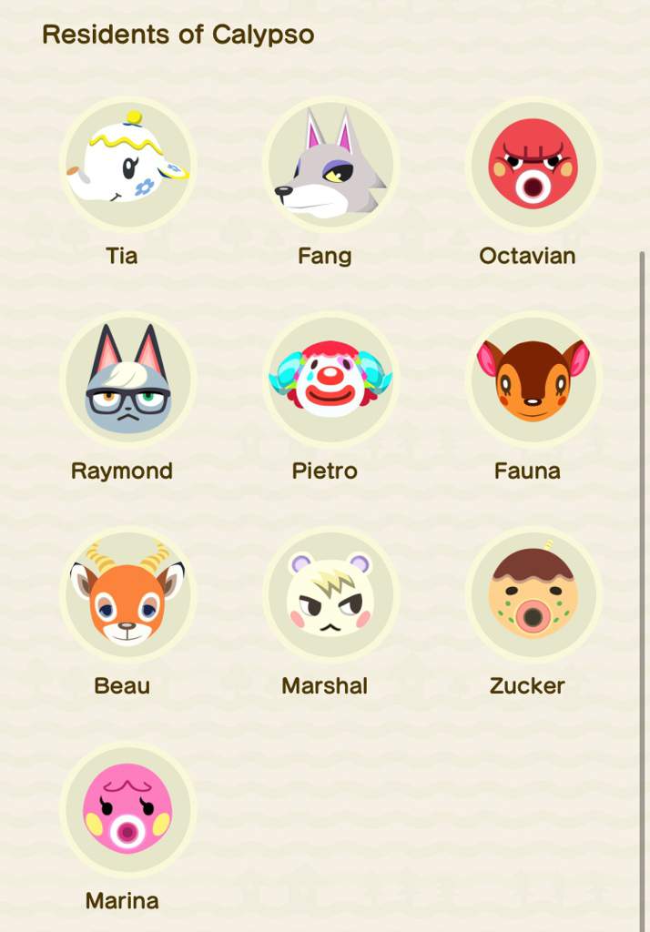 ACNH : Calypso | Wiki | Animal Crossing Amino