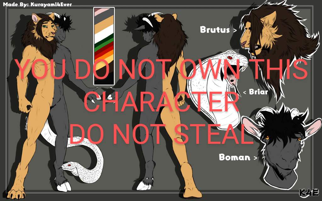 furry shiira furry shiira