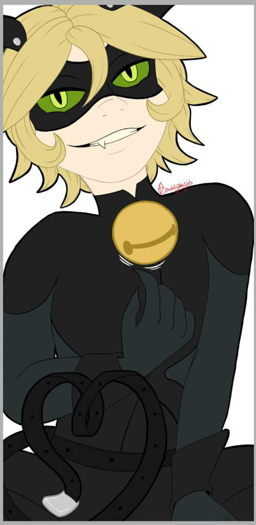 Chat Noir 🐾💚 | Miraculous Amino