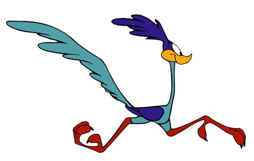 Roadrunner | Wiki | Cartoon Amino