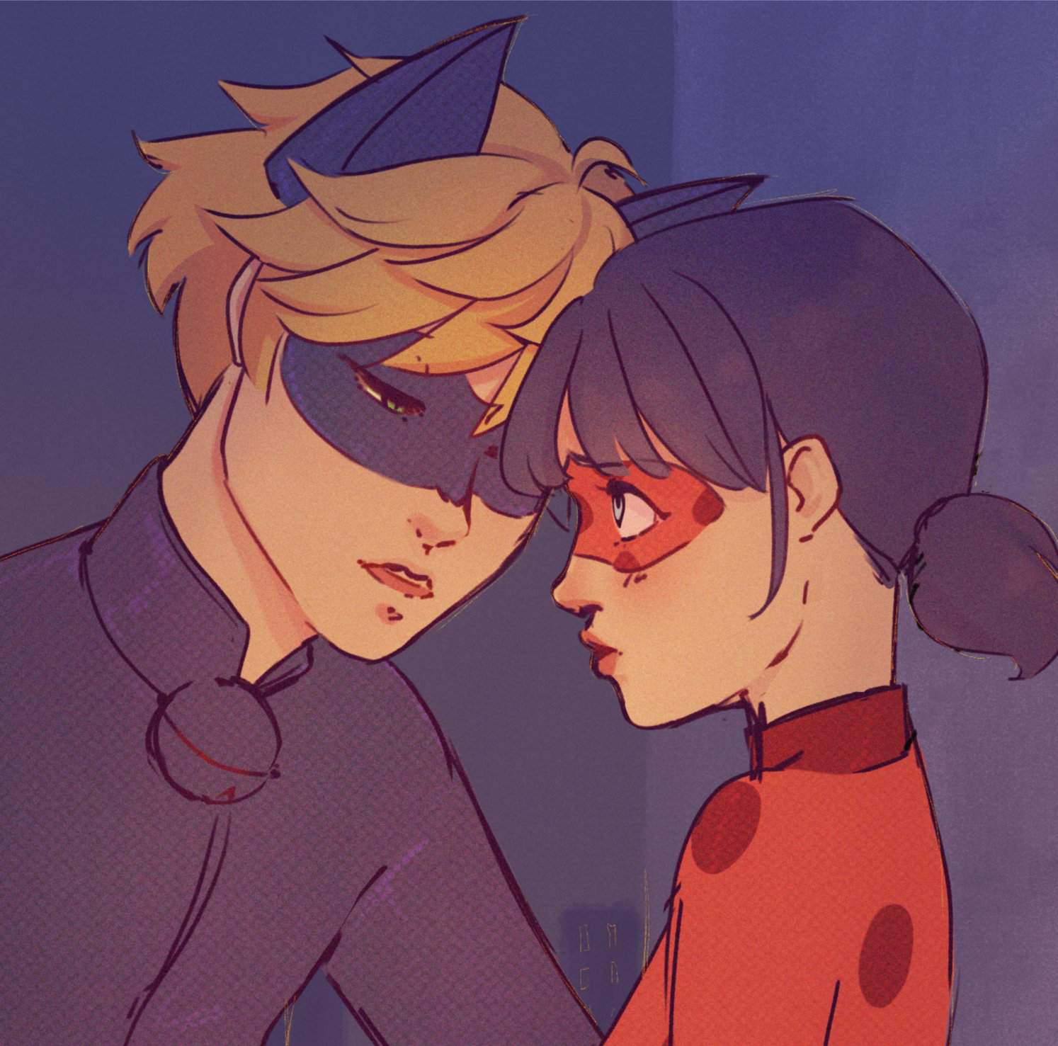 Ladynoir 👀 | Miraculous Amino