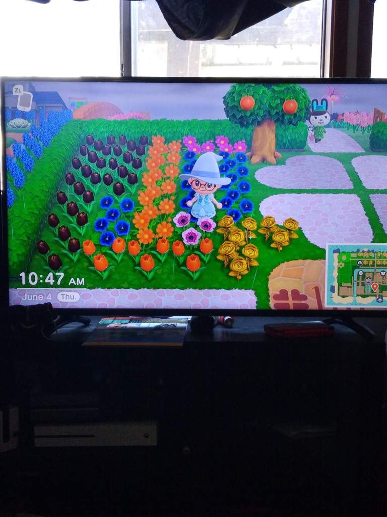 Flowers for sale | Animal Crossing Amino