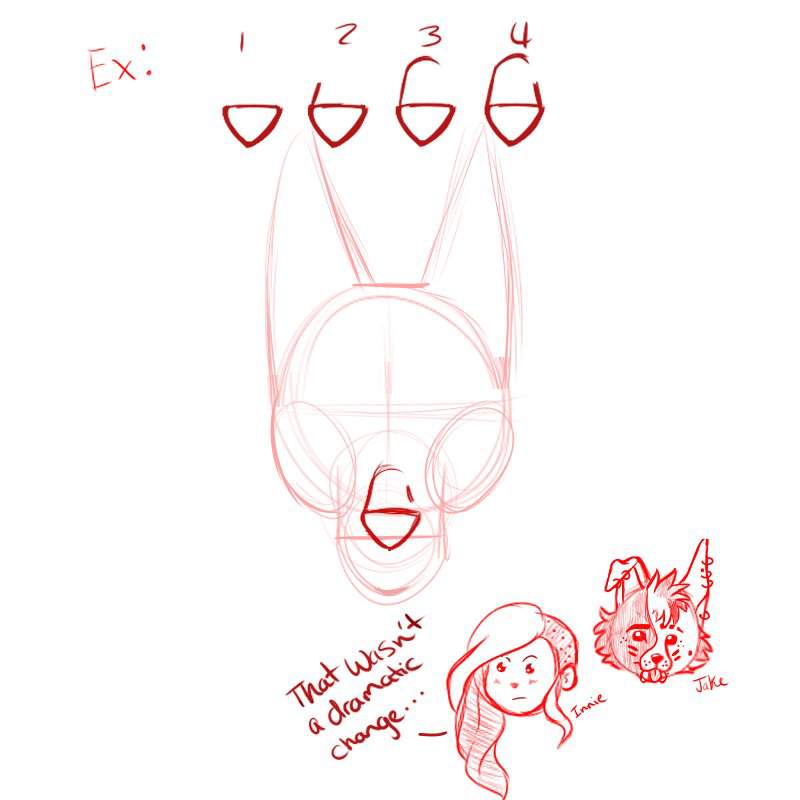 How to draw a basic furry/canine headshot (front view) | 