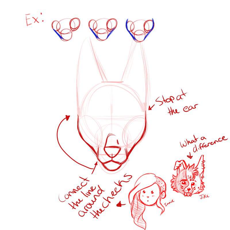 How to draw a basic furry/canine headshot (front view) | 