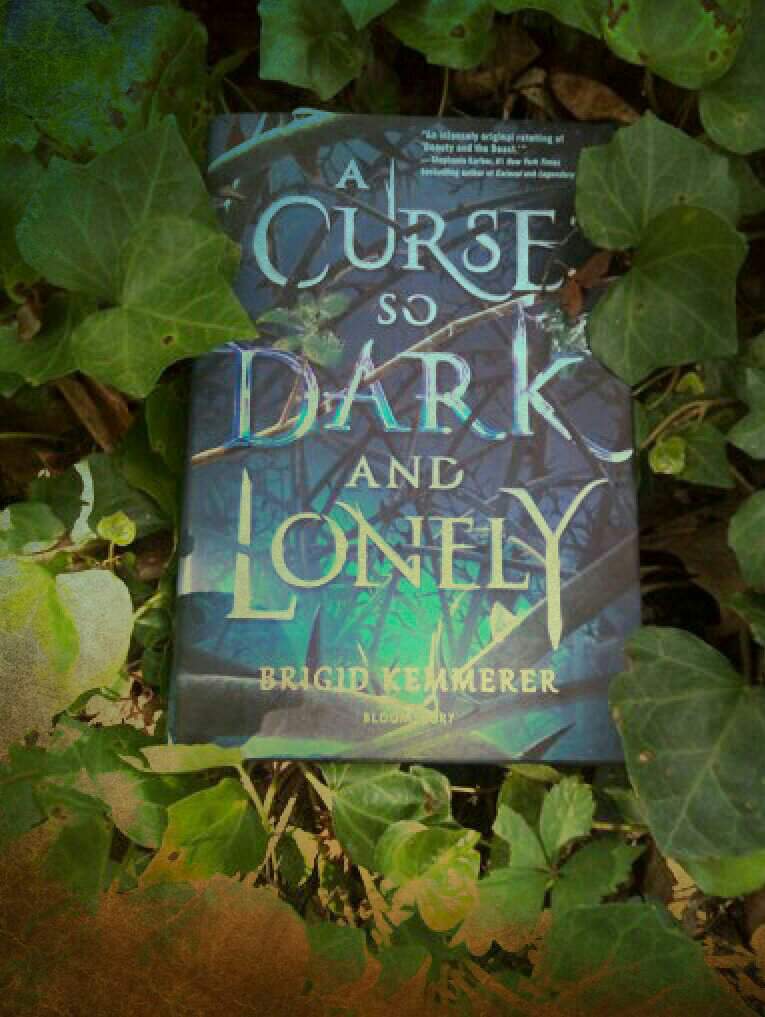 a curse of dark and lonely series order